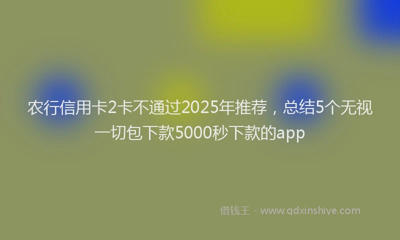 农行信用卡2卡不通过2025年推荐，总结5个无视一切包下款5000秒下款的app