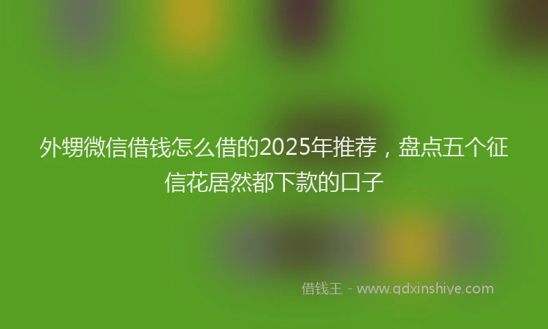 外甥微信借钱怎么借的2025年推荐，盘点五个征信花居然都下款的口子