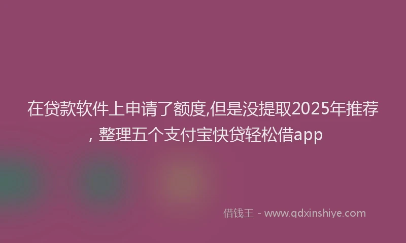 在贷款软件上申请了额度,但是没提取2025年推荐，整理五个支付宝快贷轻松借app
