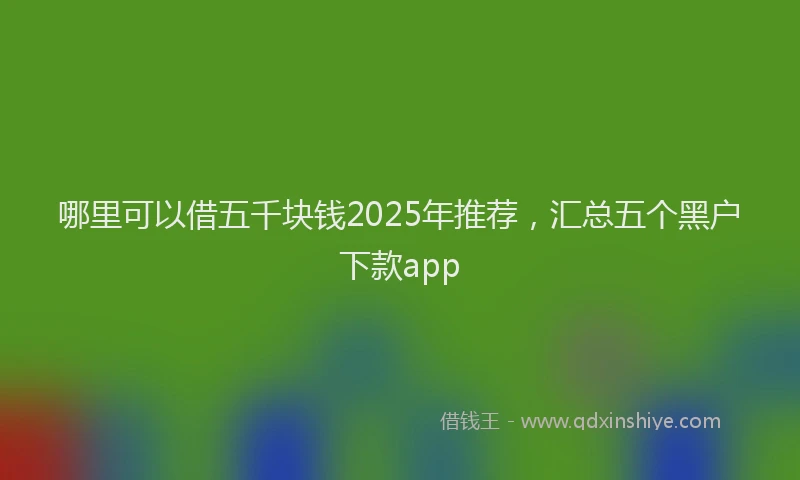 哪里可以借五千块钱2025年推荐，汇总五个黑户下款app