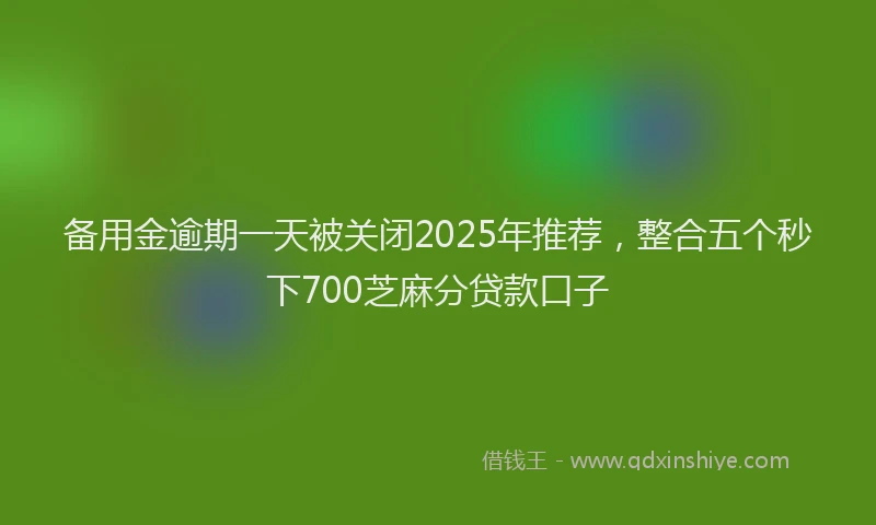 备用金逾期一天被关闭2025年推荐，整合五个秒下700芝麻分贷款口子