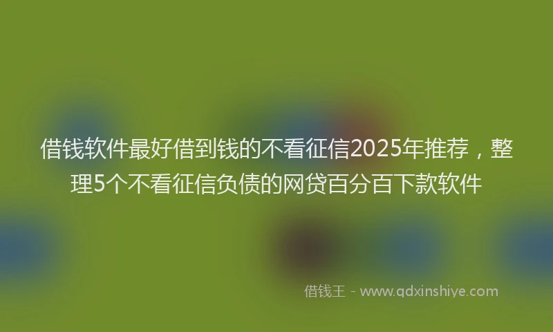 借钱软件最好借到钱的不看征信2025年推荐，整理5个不看征信负债的网贷百分百下款软件