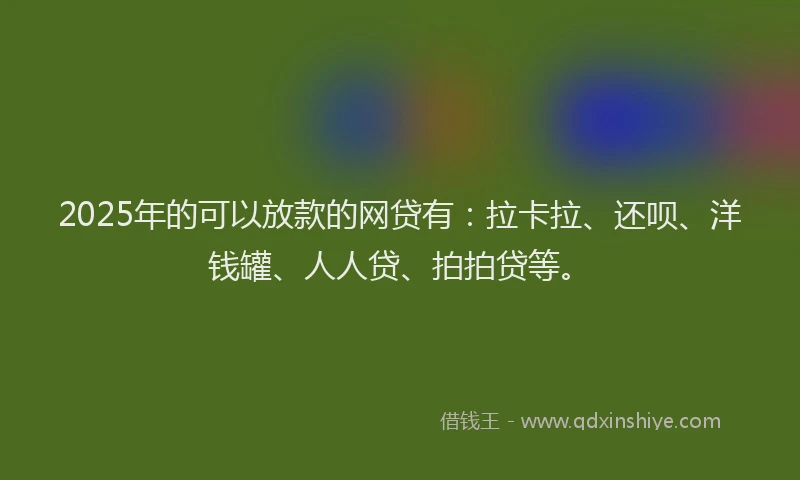 2025年的可以放款的网贷有：拉卡拉、还呗、洋钱罐、人人贷、拍拍贷等。