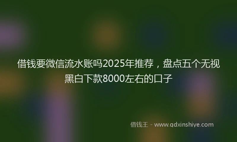 借钱要微信流水账吗2025年推荐，盘点五个无视黑白下款8000左右的口子