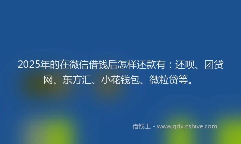 2025年的在微信借钱后怎样还款有：还呗、团贷网、东方汇、小花钱包、微粒贷等。