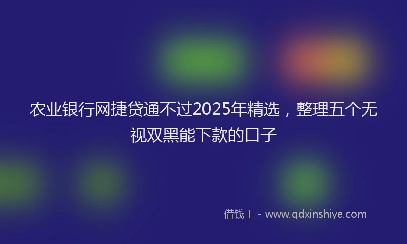 农业银行网捷贷通不过2025年精选，整理五个无视双黑能下款的口子