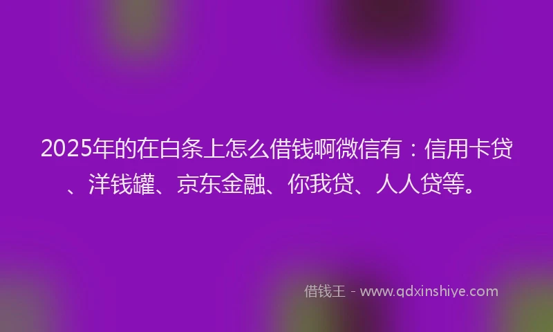 2025年的在白条上怎么借钱啊微信有：信用卡贷、洋钱罐、京东金融、你我贷、人人贷等。
