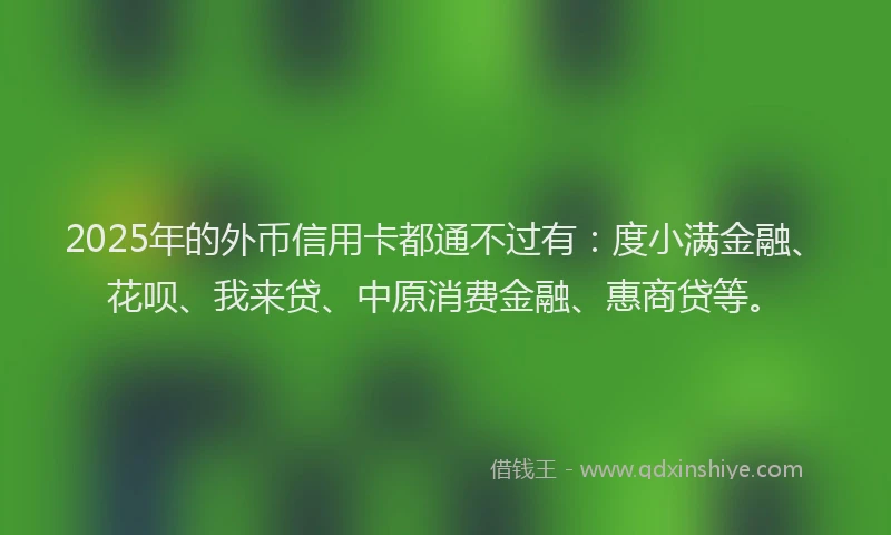 2025年的外币信用卡都通不过有：度小满金融、花呗、我来贷、中原消费金融、惠商贷等。