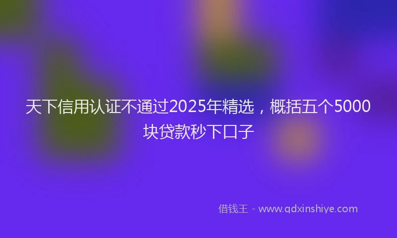 天下信用认证不通过2025年精选，概括五个5000块贷款秒下口子