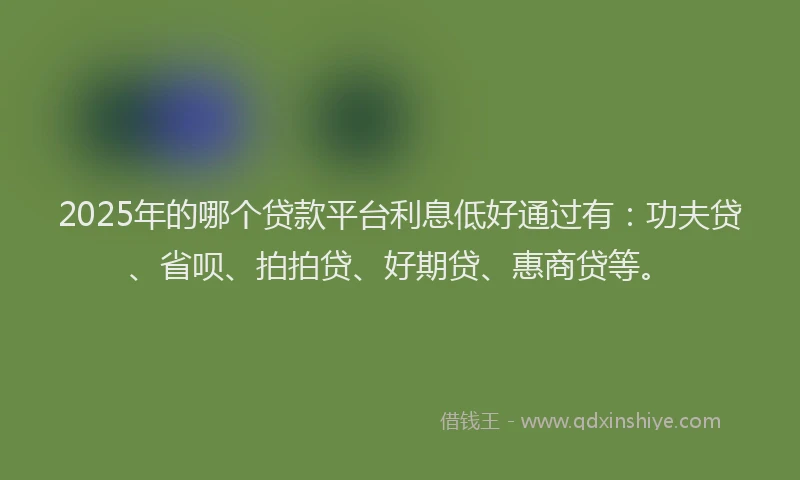 2025年的哪个贷款平台利息低好通过有：功夫贷、省呗、拍拍贷、好期贷、惠商贷等。
