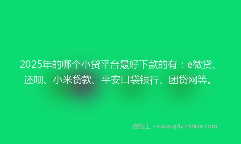 2025年的哪个小贷平台最好下款的有：e微贷、还呗、小米贷款、平安口袋银行、团贷网等。
