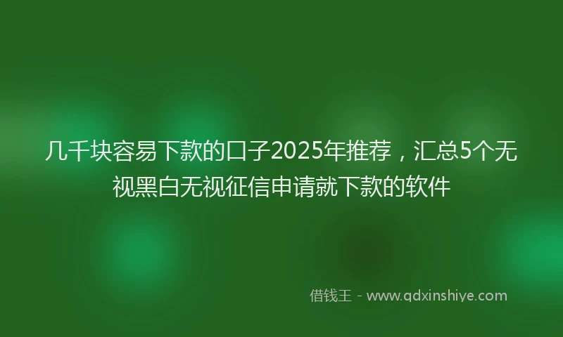 几千块容易下款的口子2025年推荐，汇总5个无视黑白无视征信申请就下款的软件