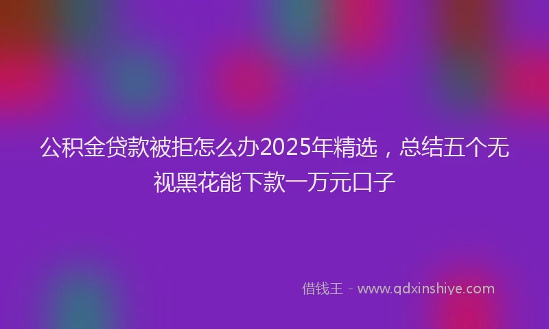公积金贷款被拒怎么办2025年精选，总结五个无视黑花能下款一万元口子