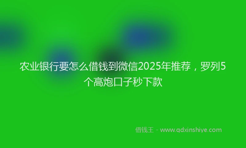 农业银行要怎么借钱到微信2025年推荐，罗列5个高炮口子秒下款