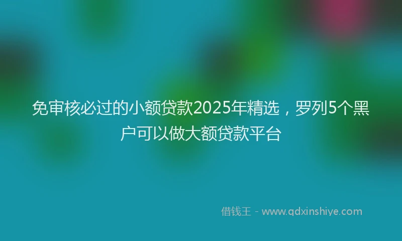 免审核必过的小额贷款2025年精选，罗列5个黑户可以做大额贷款平台