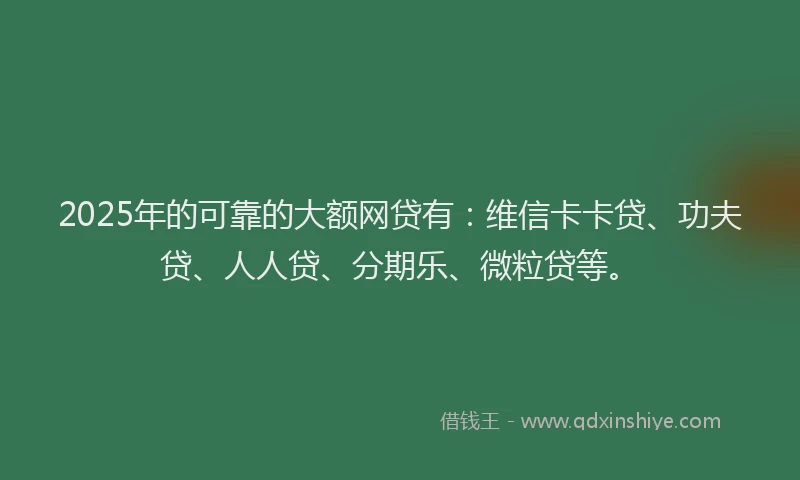 2025年的可靠的大额网贷有：维信卡卡贷、功夫贷、人人贷、分期乐、微粒贷等。