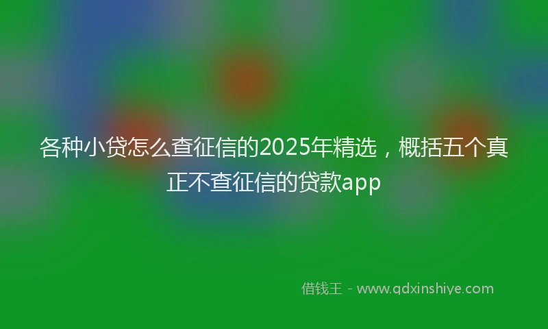 各种小贷怎么查征信的2025年精选，概括五个真正不查征信的贷款app