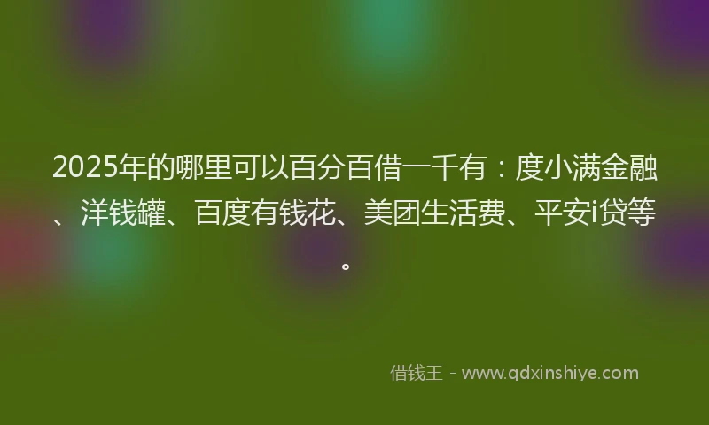 2025年的哪里可以百分百借一千有：度小满金融、洋钱罐、百度有钱花、美团生活费、平安i贷等。