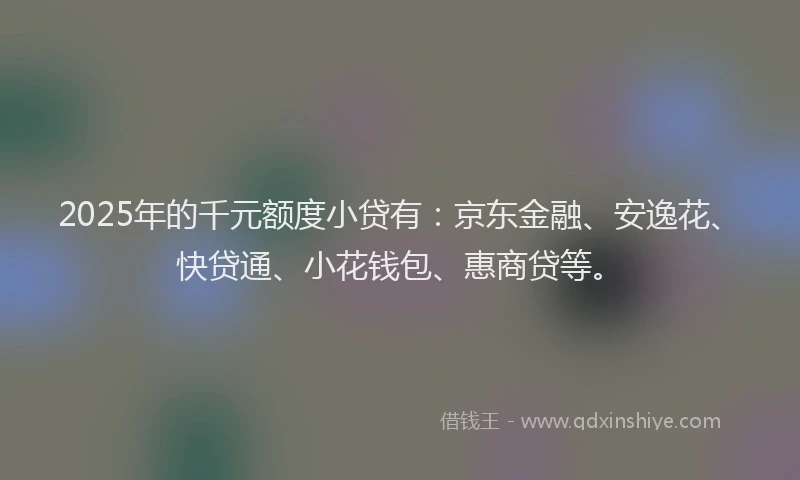 2025年的千元额度小贷有：京东金融、安逸花、快贷通、小花钱包、惠商贷等。