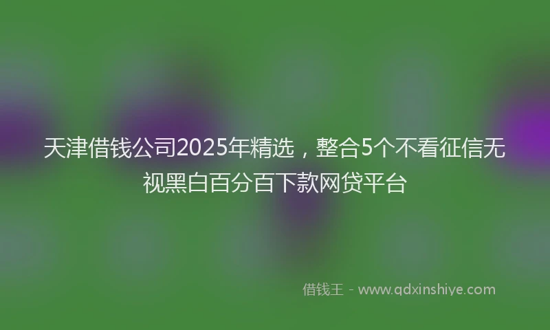 天津借钱公司2025年精选，整合5个不看征信无视黑白百分百下款网贷平台