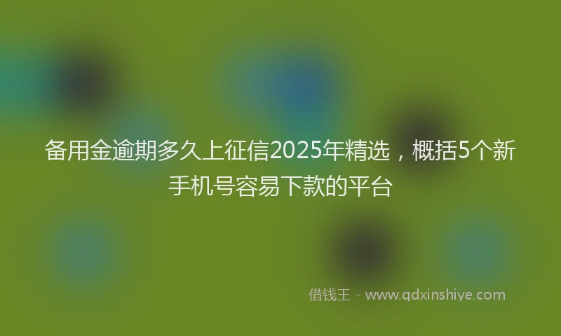 备用金逾期多久上征信2025年精选，概括5个新手机号容易下款的平台