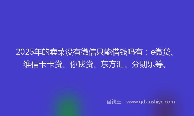 2025年的卖菜没有微信只能借钱吗有：e微贷、维信卡卡贷、你我贷、东方汇、分期乐等。