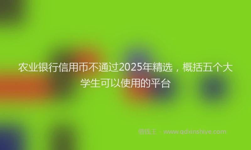 农业银行信用币不通过2025年精选，概括五个大学生可以使用的平台