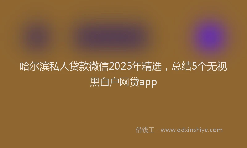 哈尔滨私人贷款微信2025年精选，总结5个无视黑白户网贷app