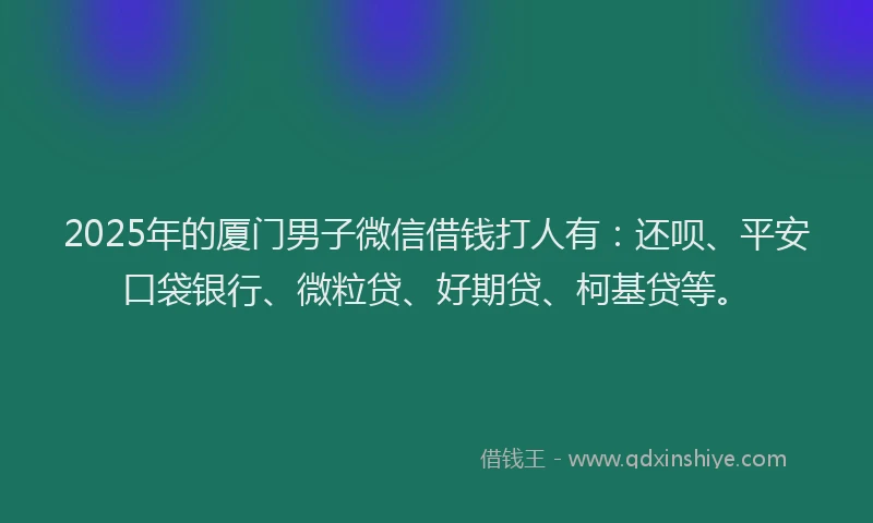 2025年的厦门男子微信借钱打人有：还呗、平安口袋银行、微粒贷、好期贷、柯基贷等。