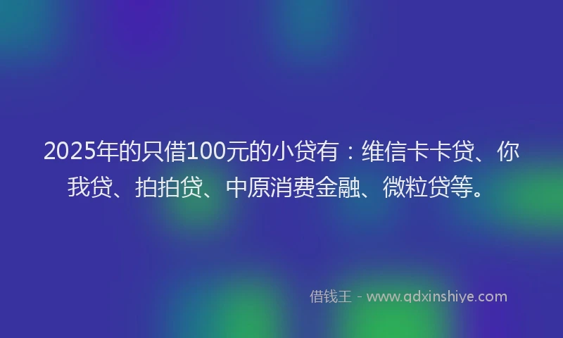 2025年的只借100元的小贷有：维信卡卡贷、你我贷、拍拍贷、中原消费金融、微粒贷等。