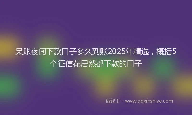 呆账夜间下款口子多久到账2025年精选，概括5个征信花居然都下款的口子