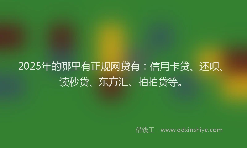 2025年的哪里有正规网贷有：信用卡贷、还呗、读秒贷、东方汇、拍拍贷等。