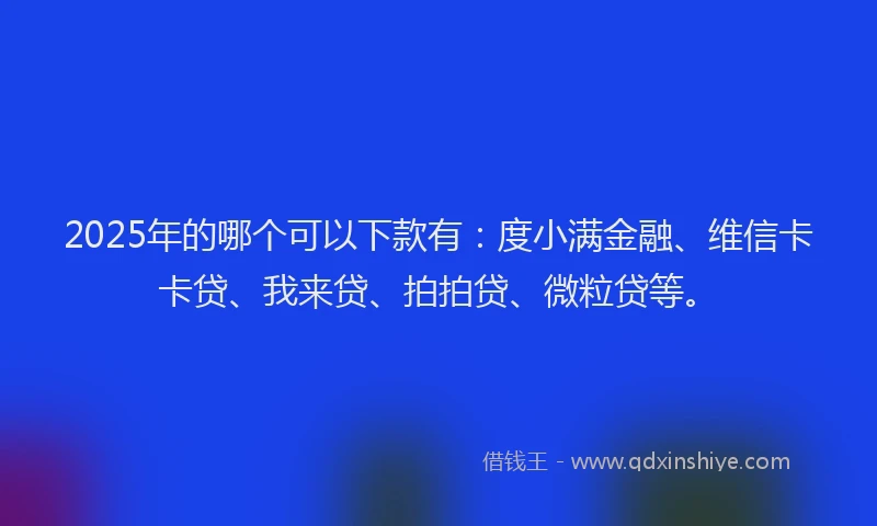 2025年的哪个可以下款有：度小满金融、维信卡卡贷、我来贷、拍拍贷、微粒贷等。
