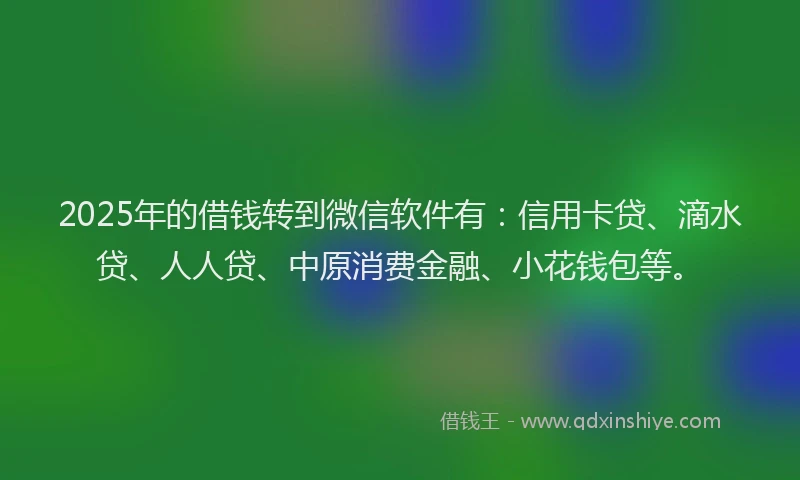 2025年的借钱转到微信软件有：信用卡贷、滴水贷、人人贷、中原消费金融、小花钱包等。
