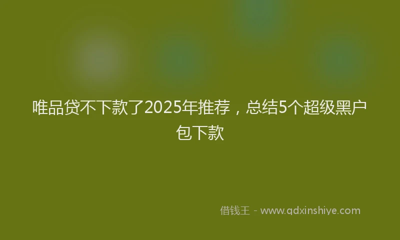 唯品贷不下款了2025年推荐，总结5个超级黑户包下款