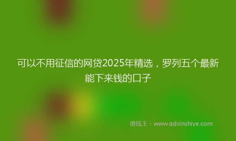 可以不用征信的网贷2025年精选，罗列五个最新能下来钱的口子