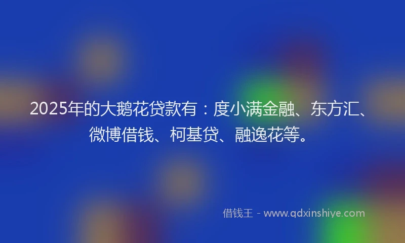 2025年的大鹅花贷款有：度小满金融、东方汇、微博借钱、柯基贷、融逸花等。