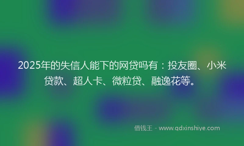 2025年的失信人能下的网贷吗有：投友圈、小米贷款、超人卡、微粒贷、融逸花等。