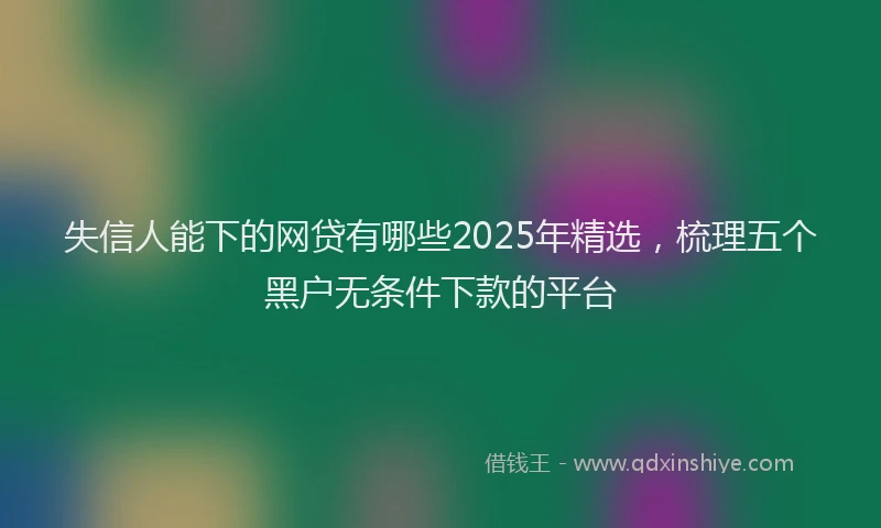 失信人能下的网贷有哪些2025年精选，梳理五个黑户无条件下款的平台