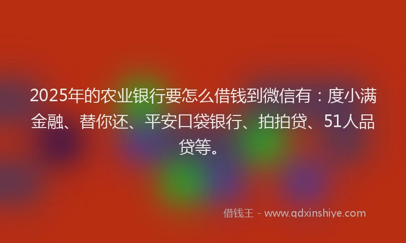 2025年的农业银行要怎么借钱到微信有：度小满金融、替你还、平安口袋银行、拍拍贷、51人品贷等。