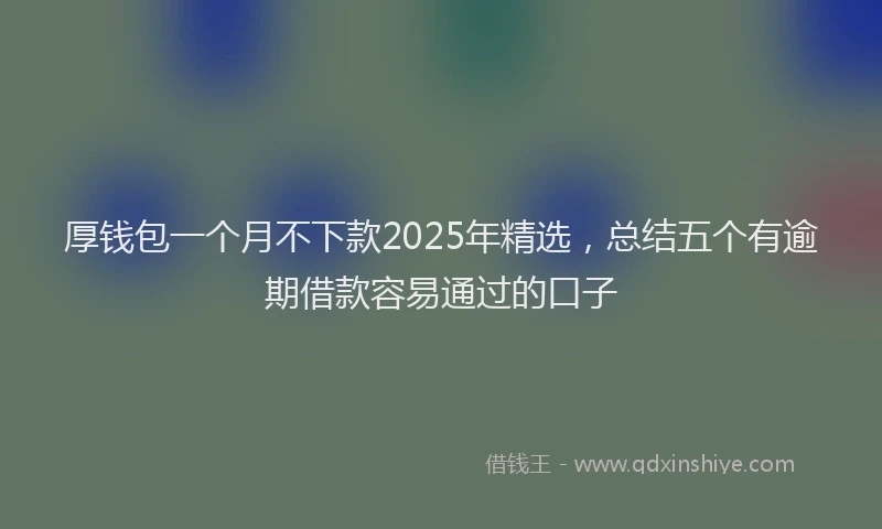 厚钱包一个月不下款2025年精选，总结五个有逾期借款容易通过的口子
