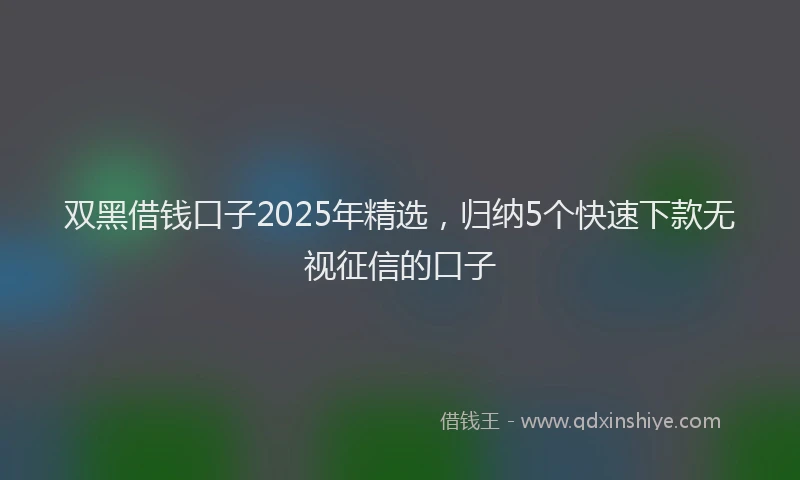 双黑借钱口子2025年精选，归纳5个快速下款无视征信的口子