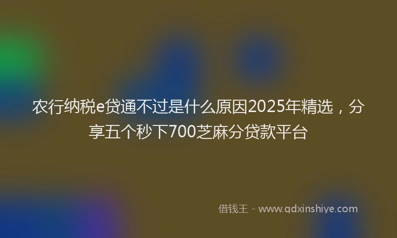 农行纳税e贷通不过是什么原因2025年精选，分享五个秒下700芝麻分贷款平台