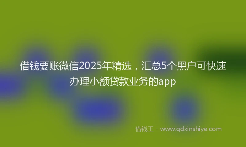 借钱要账微信2025年精选，汇总5个黑户可快速办理小额贷款业务的app