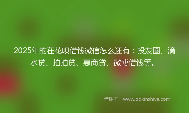 2025年的在花呗借钱微信怎么还有:投友圈、滴水贷、拍拍贷、惠商贷、微博借钱等。