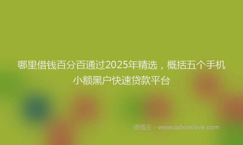 哪里借钱百分百通过2025年精选，概括五个手机小额黑户快速贷款平台