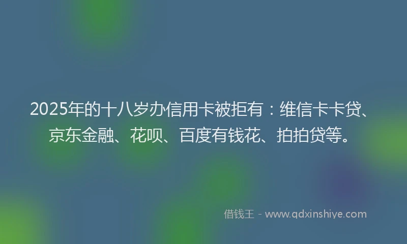 2025年的十八岁办信用卡被拒有：维信卡卡贷、京东金融、花呗、百度有钱花、拍拍贷等。