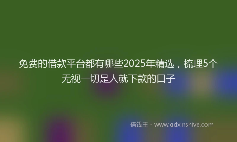 免费的借款平台都有哪些2025年精选，梳理5个无视一切是人就下款的口子