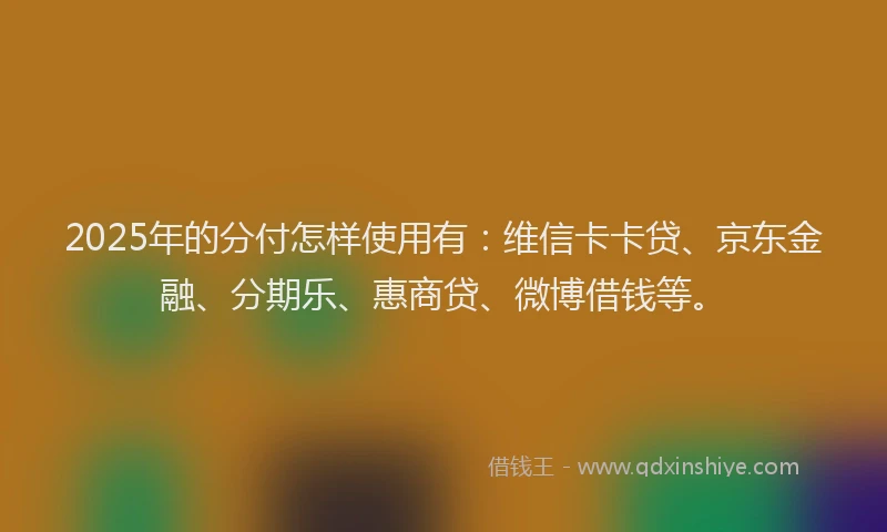2025年的分付怎样使用有：维信卡卡贷、京东金融、分期乐、惠商贷、微博借钱等。