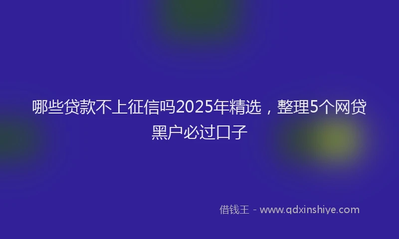 哪些贷款不上征信吗2025年精选，整理5个网贷黑户必过口子